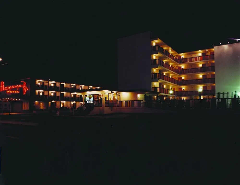 Flamingo Motel Ocean City ABD