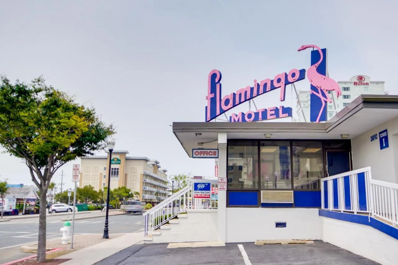 Flamingo Motel Ocean City