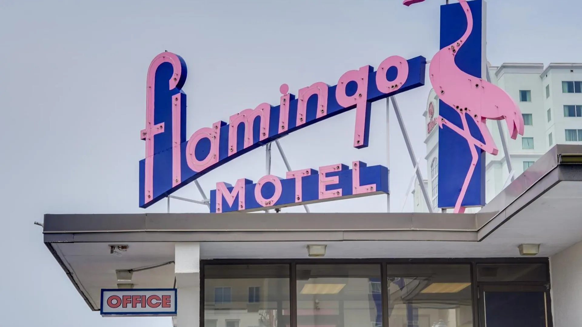 Flamingo Motel Ocean City