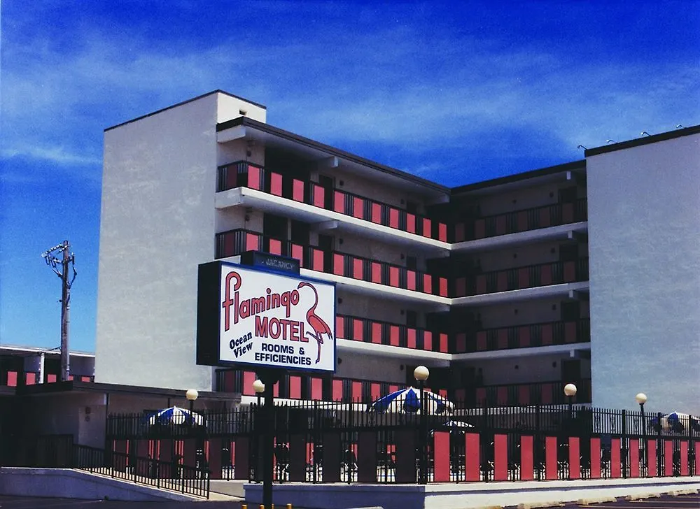 Flamingo Motel Ocean City 2*,  Verenigde Staten