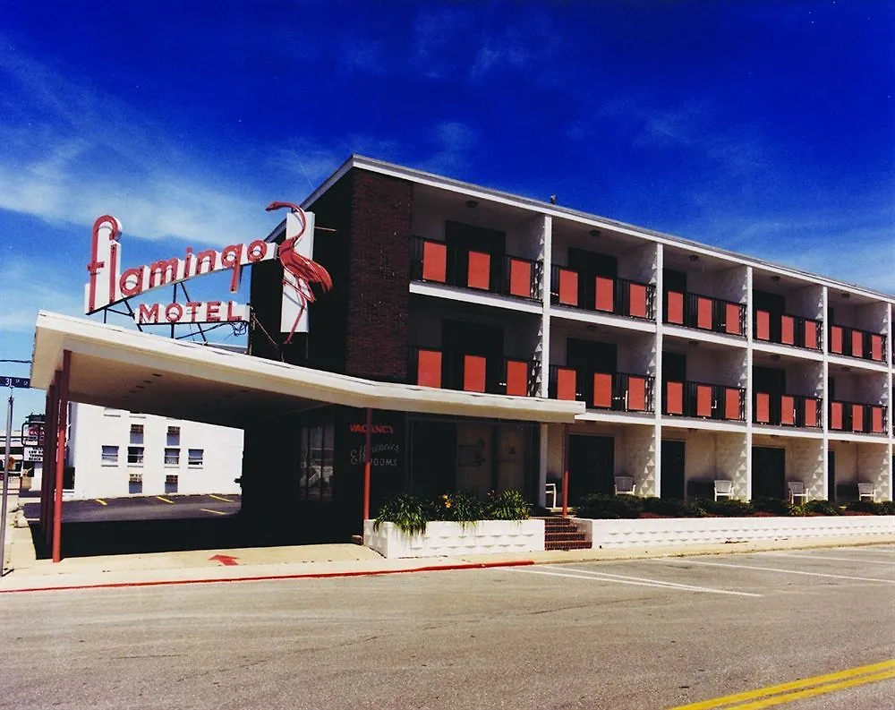 Flamingo Motel Ocean City